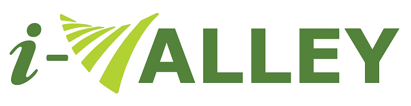 iValley Partner logo